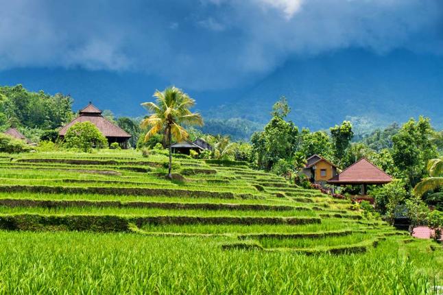 bali-indonesia[dot]com